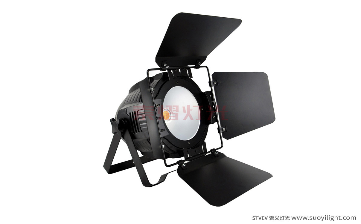 Indonesia200W COB LED Par Light