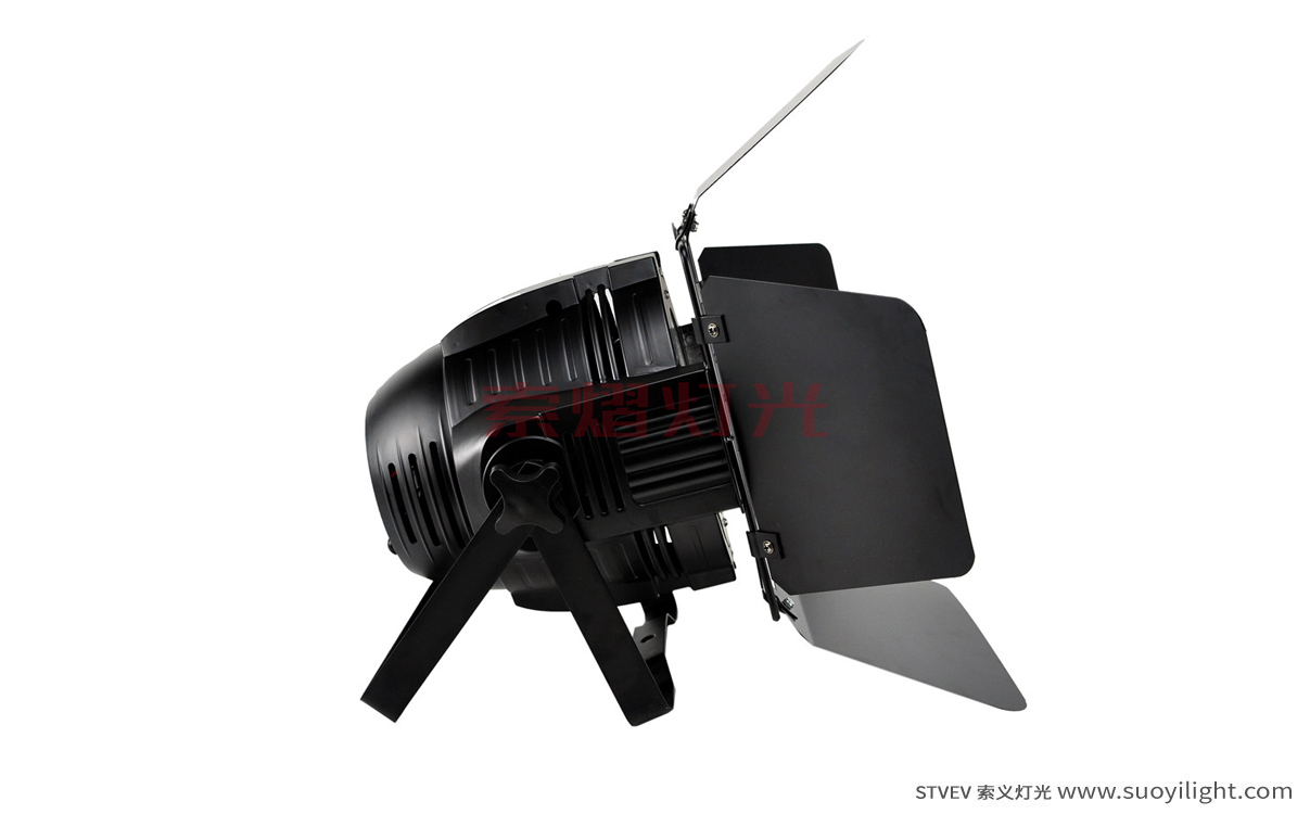 Indonesia200W COB LED Par Light
