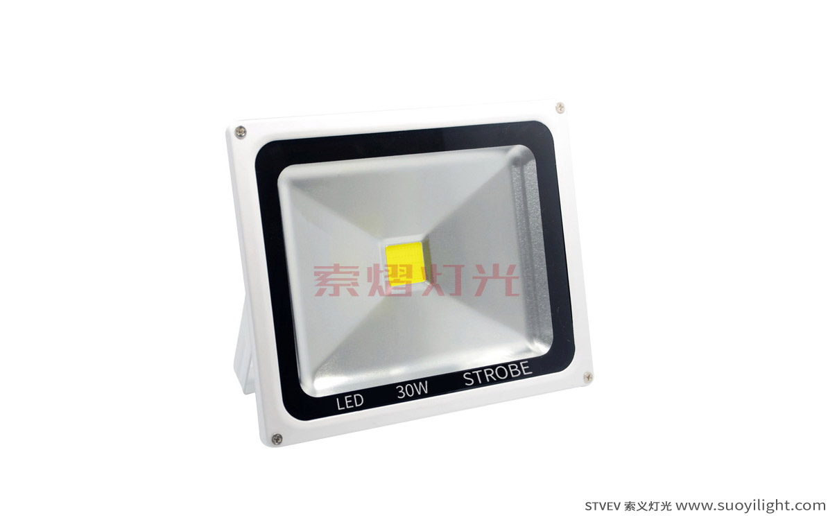 Indonesia30W LED Strobe Light