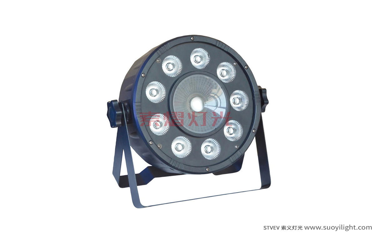 Indonesia9+1 LED Plastic Par Light