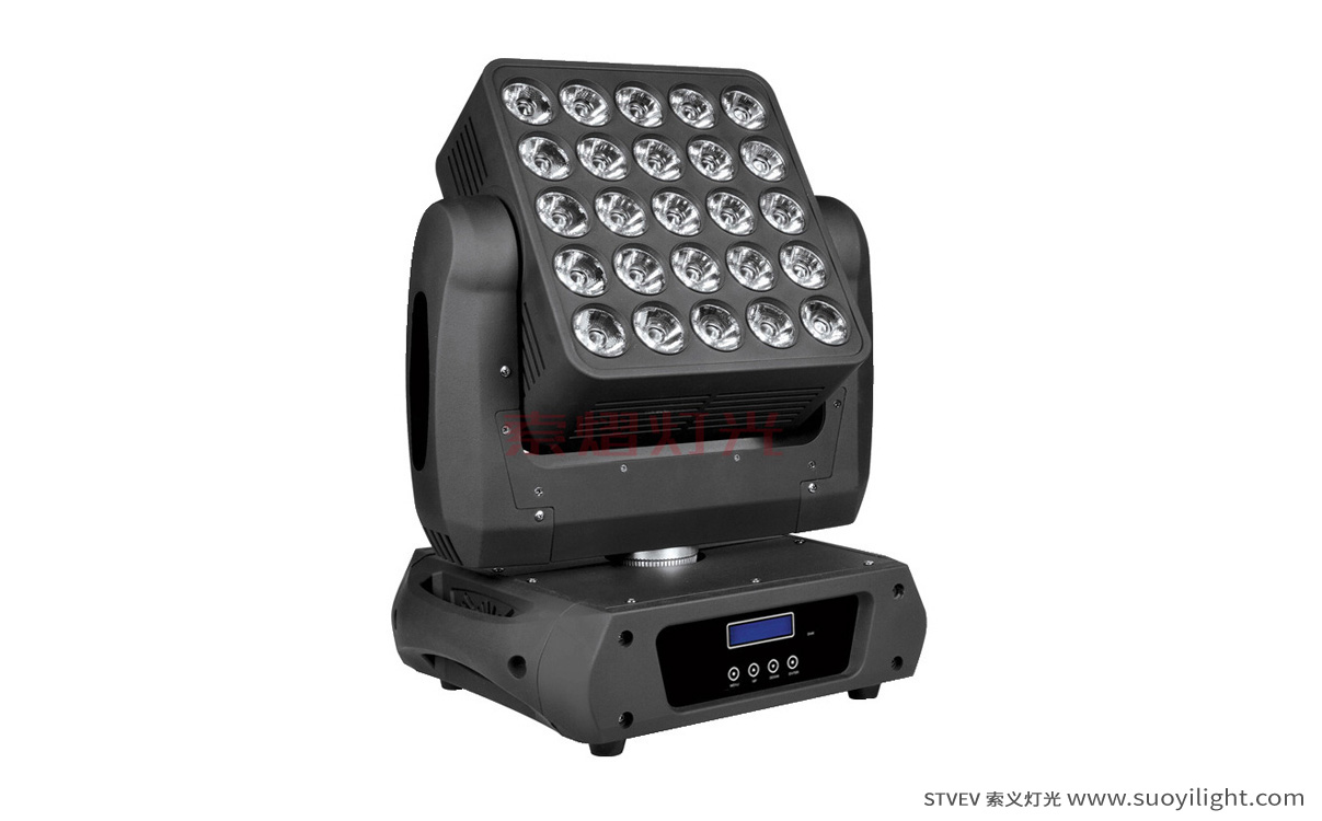 Indonesia25pcs Matrix LED Light