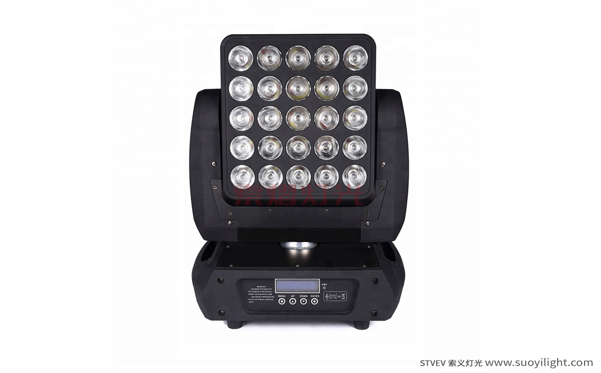 Indonesia25pcs Matrix LED Light