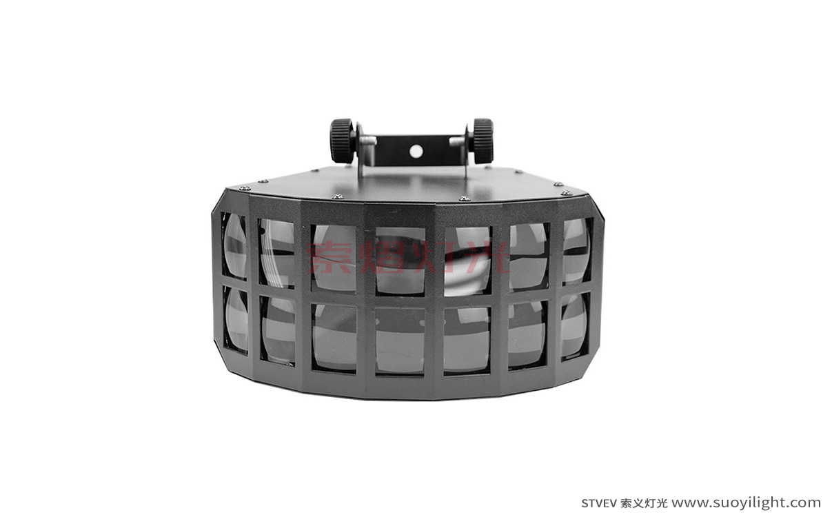 IndonesiaLED Double Butterfly Light
