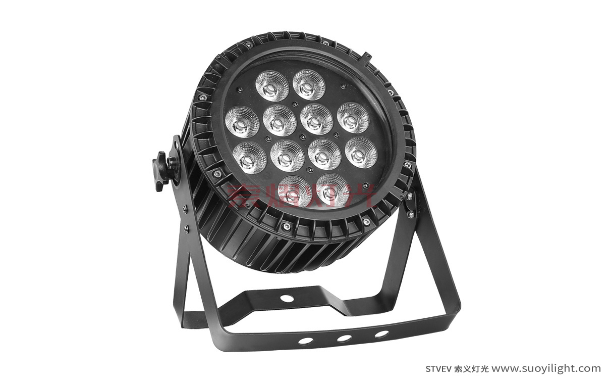 Indonesia12*12W 6 in 1 Waterproof LED Par Light