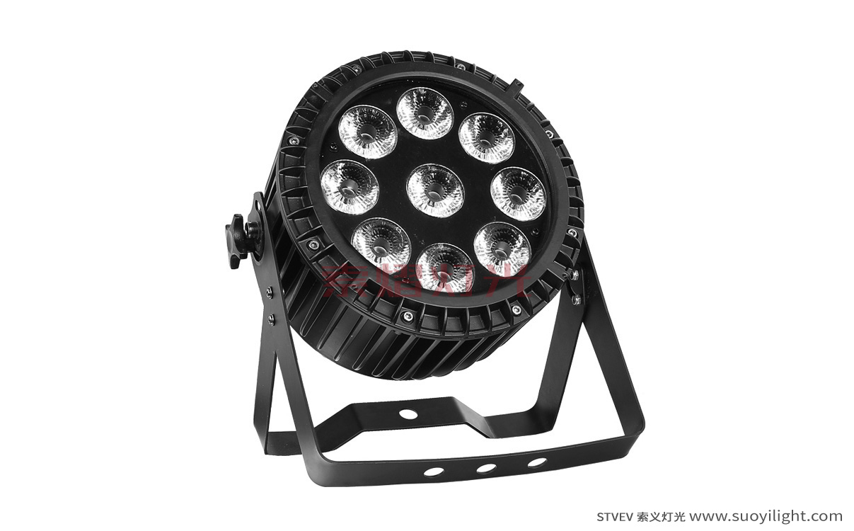 Indonesia9*12W 4 in 1 Waterproof LED Par Light