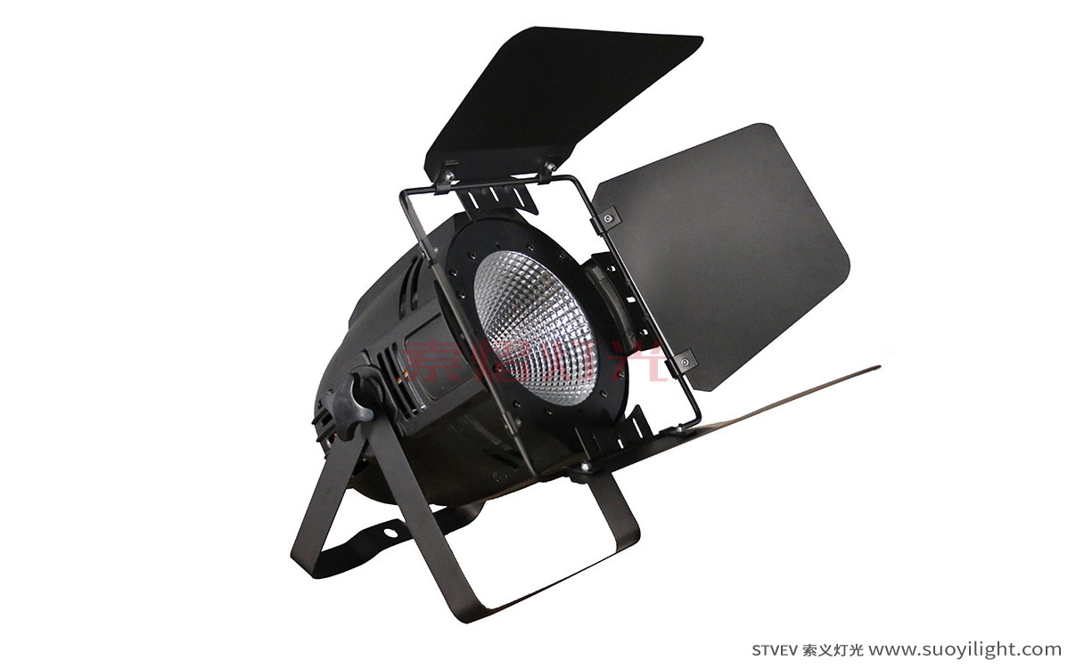 Indonesia100W LED COB Par Light