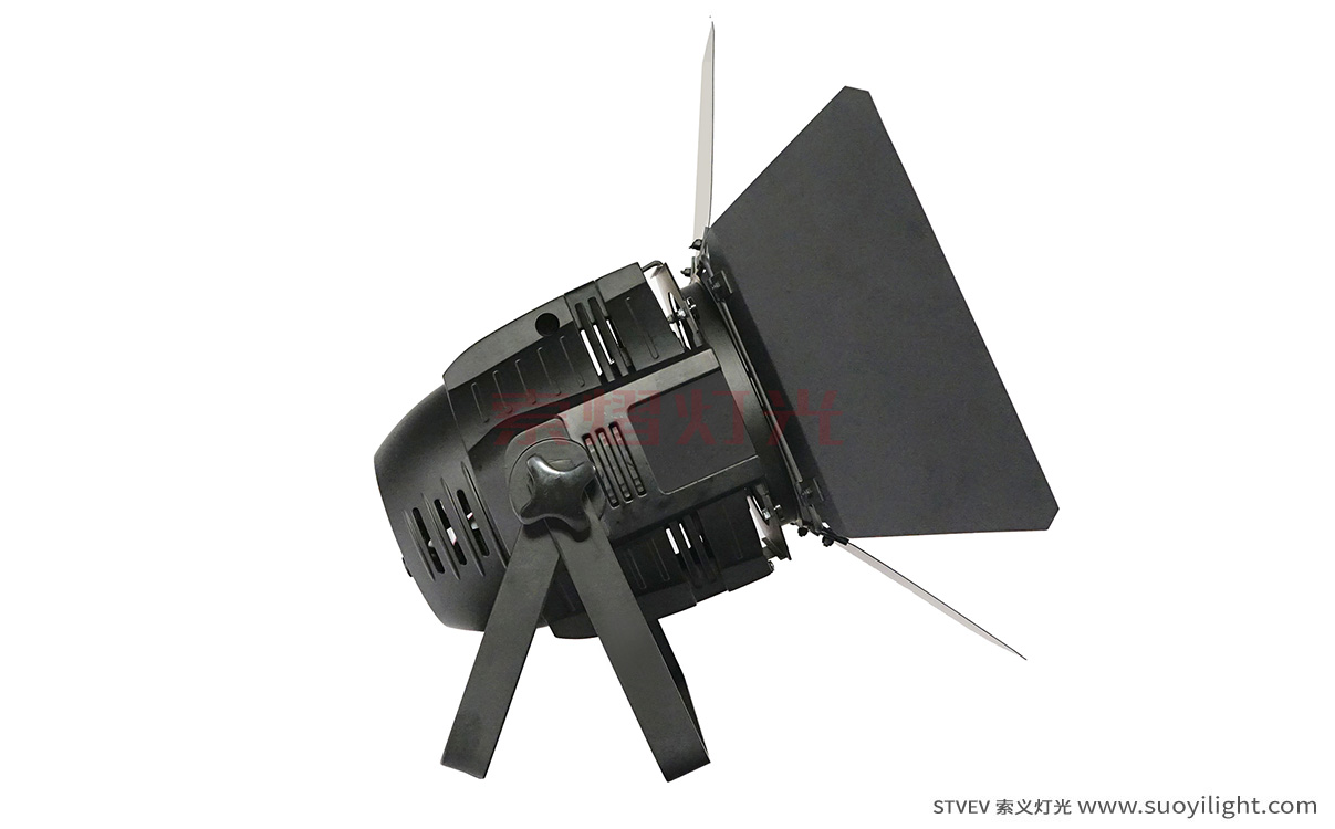 Indonesia100W LED COB Par Light