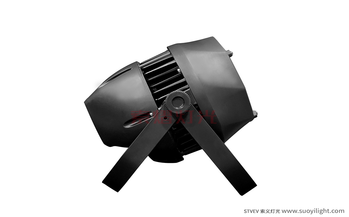 Indonesia200W Waterproof COB Par Light