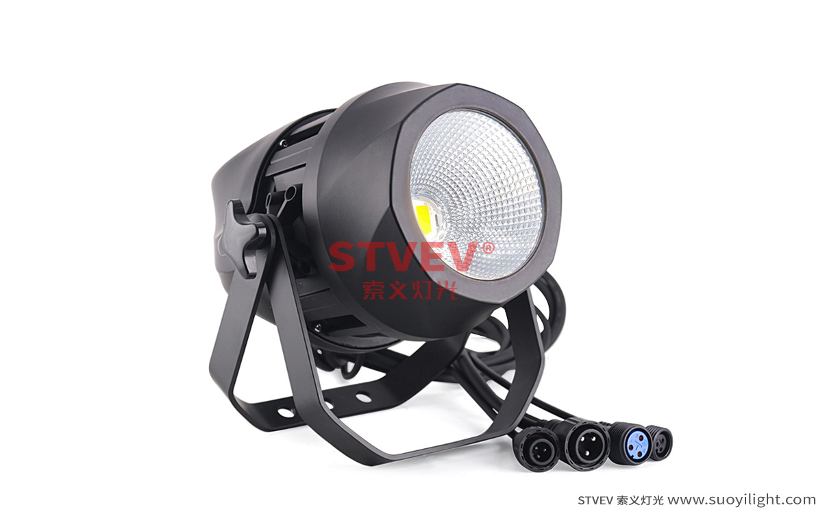 Indonesia200W Waterproof COB Par Light