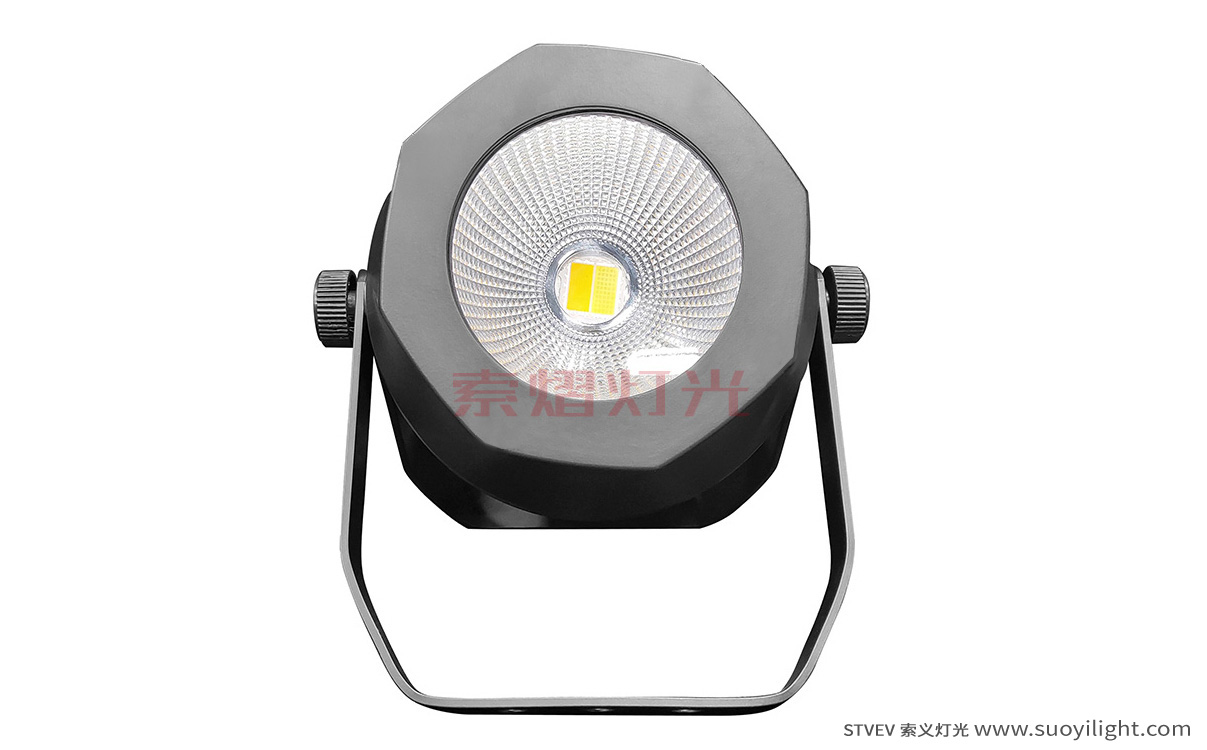 Indonesia200W Waterproof COB Par Light