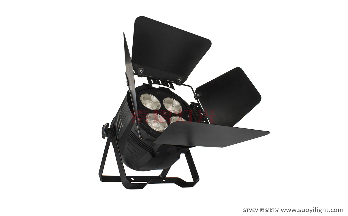 Indonesia4 Eyes 200W COB Par Light