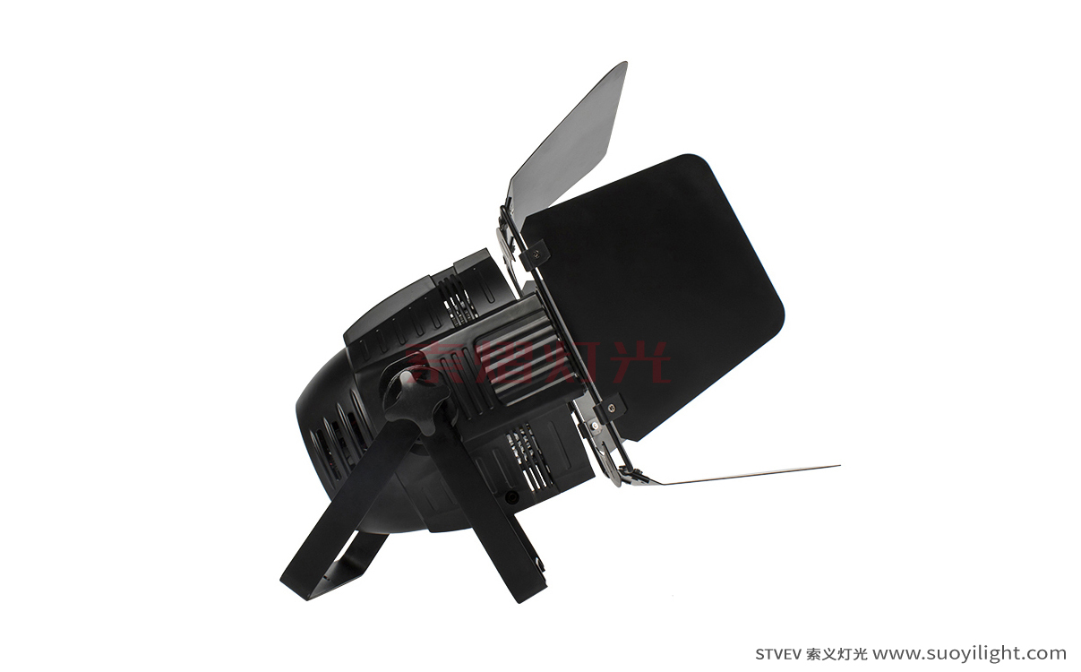 Indonesia4 Eyes 200W COB Par Light